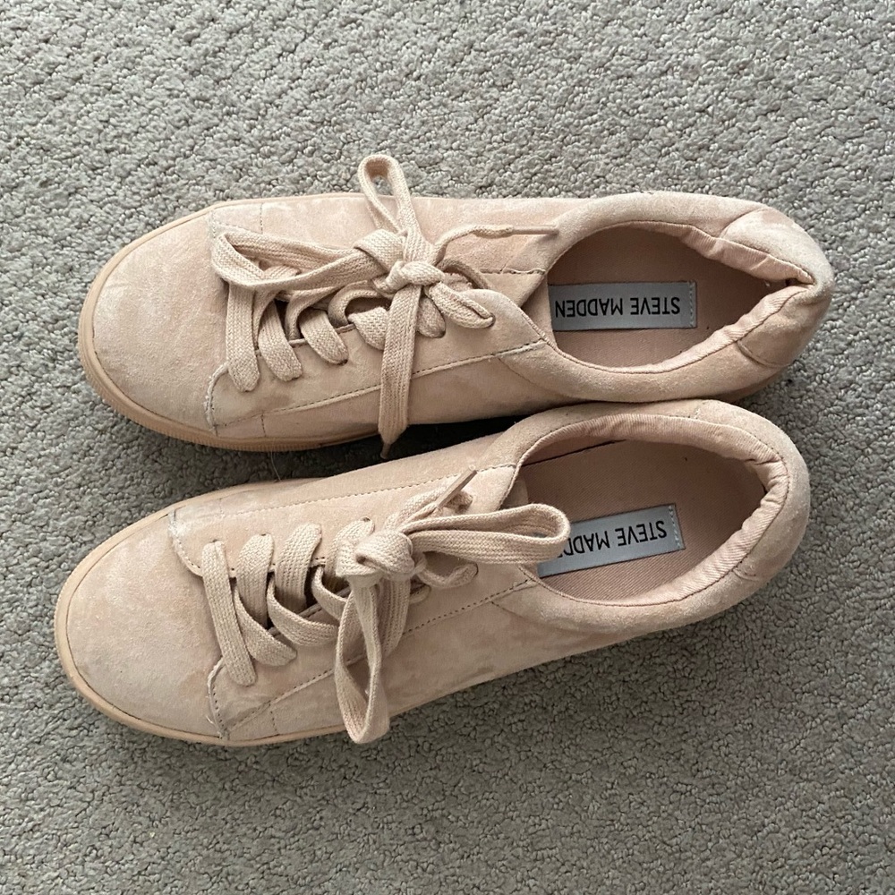 Steve madden sneakers